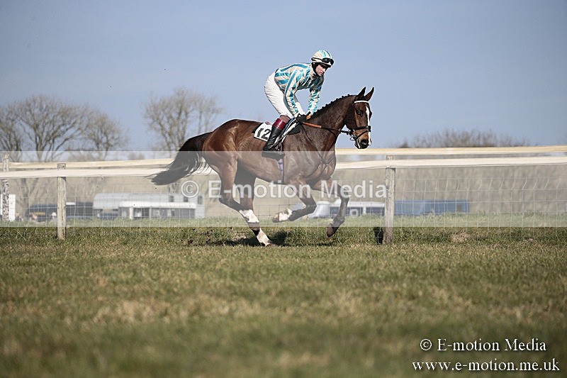PtP 240218 229 - Vine & Craven Hunt Point-to-Point Barbury racecourse 24/02/18