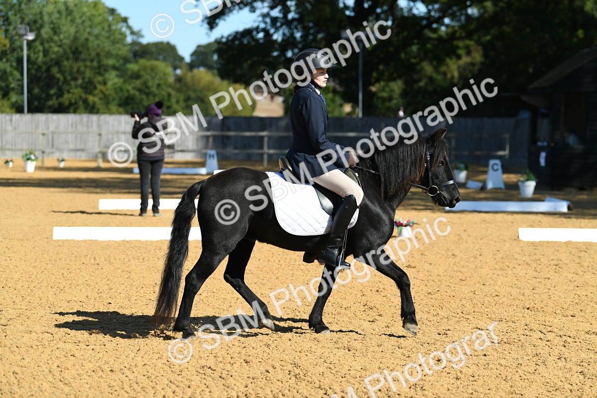SBM_18169 - D4 - Small Tour Championship - Intro B