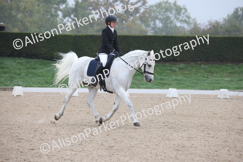 20251012-0408 - Class 3 - Novice 5