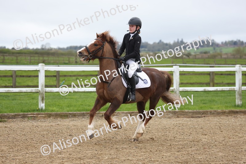 20260403-0115 - Class 1 - 40cm