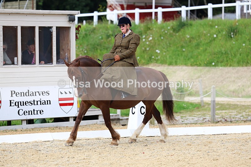 3E7A1619 - Class 2: Intro 2 2024 Section B