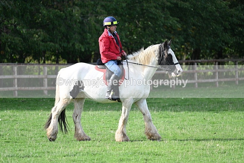 WJ7_1082 - Time 14:27 to 15:11