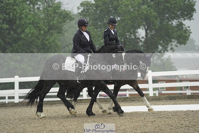 230708A-123206-00425 - BRC Pairs 5