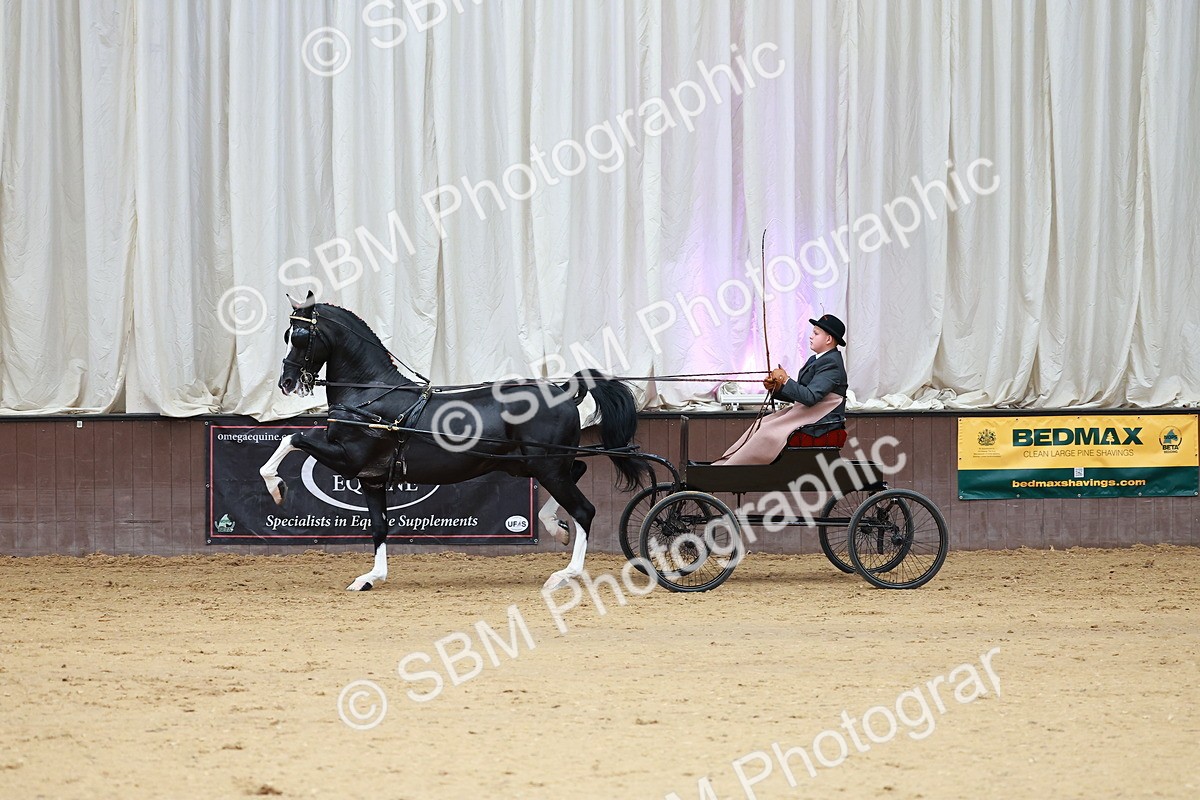 SBM_001013 - Class 13  - HHS Championship Intl Hackney Horse to a Show Wagon
