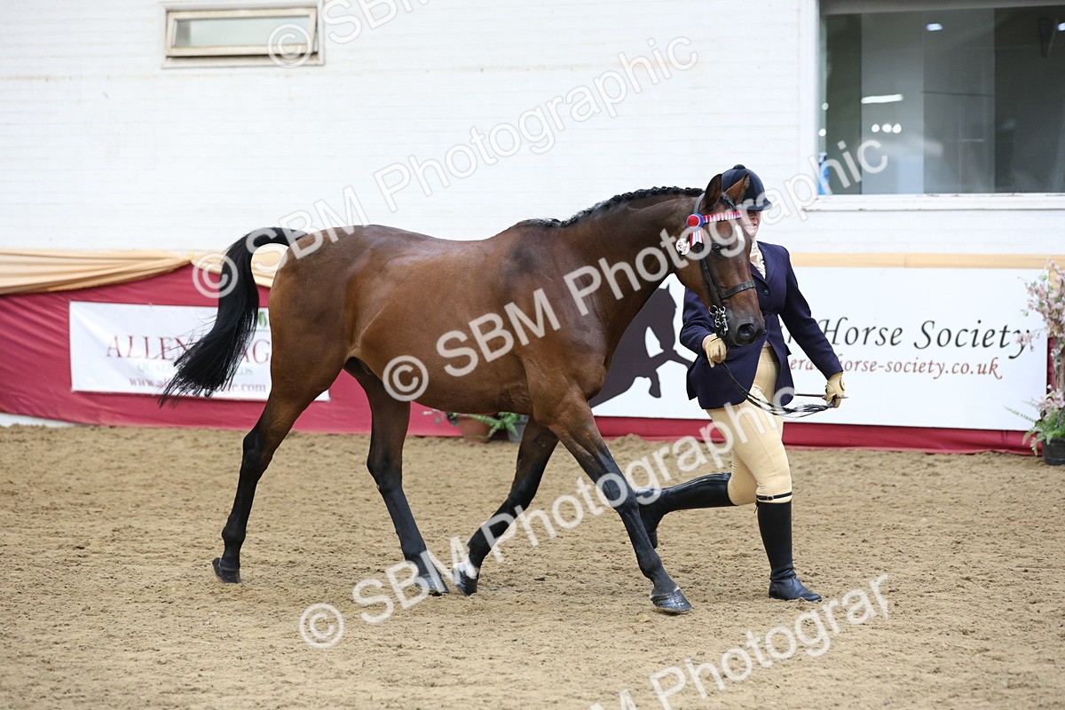 SBM_24084 - Class 905 - Supreme Final - Ridden Veteran