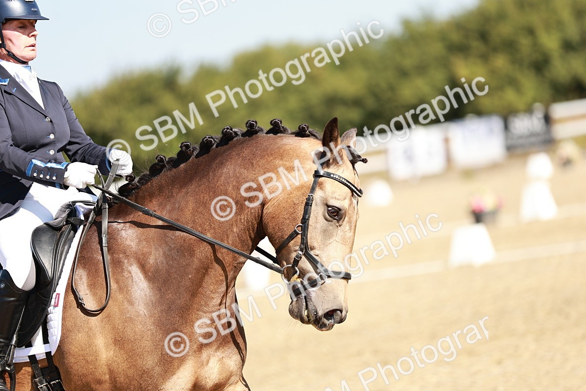SBM_017336