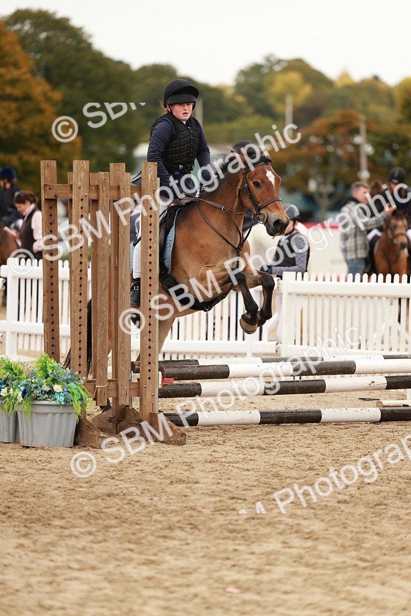 SBM_57881 - J11 - Junior Pony 50cm Championship