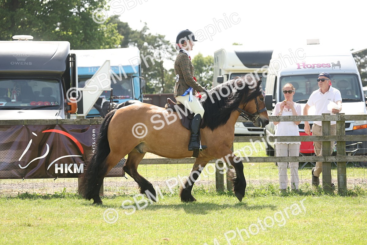 SBM_07753 - Class 26-30 - Mountain and Moorland Ridden