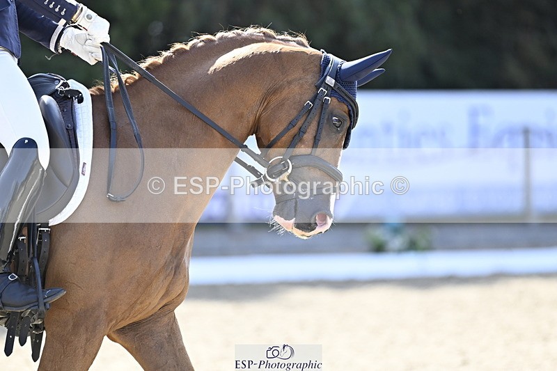 250810A-104345-04933 - 159-Avah.HeathWFD.Just.Dillon