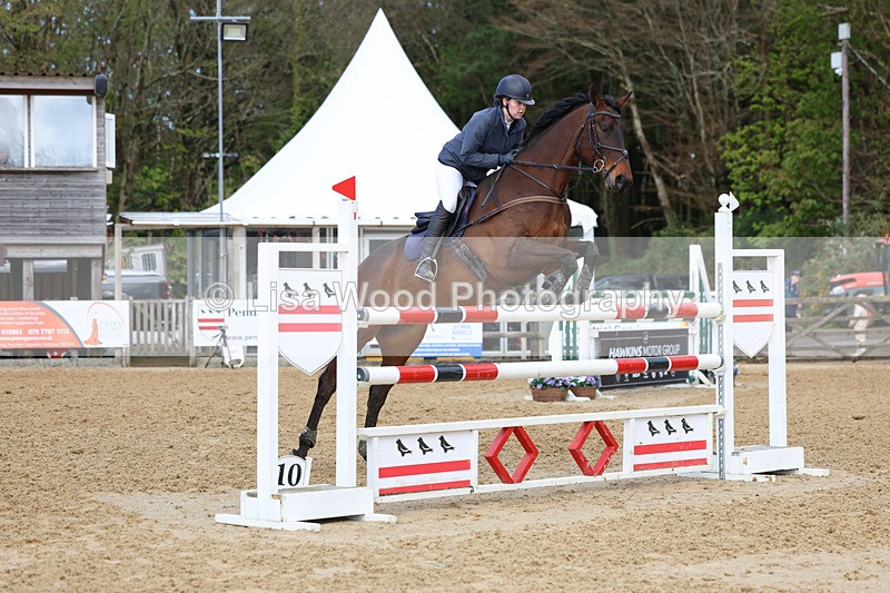 3E7A2084 - Class 8: Senior Foxhunter/1.20 open