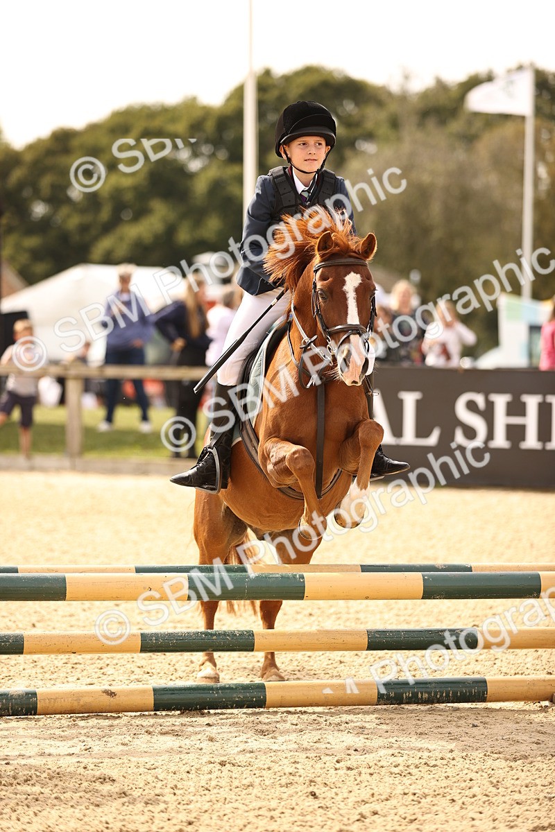 SBM_66806 - J13 - Junior Pony 60cm Championship