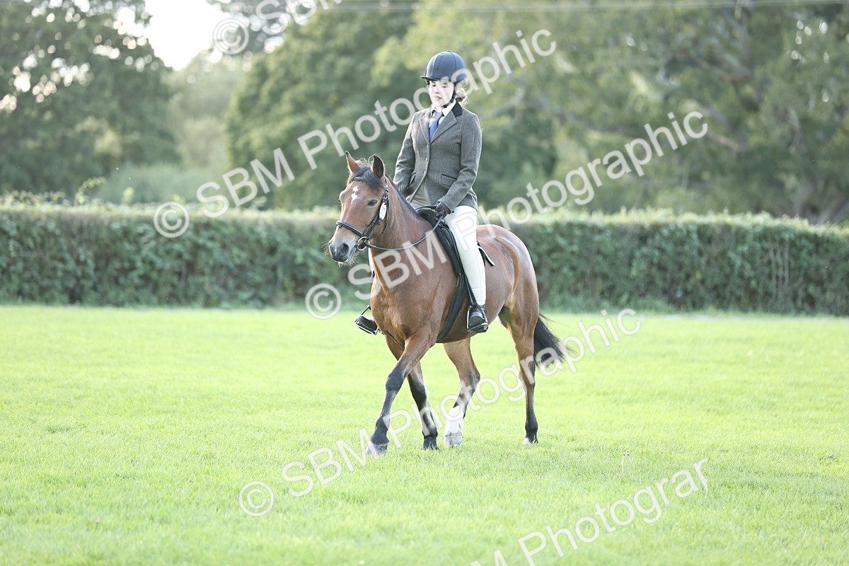 SBM_29551 - S7 - Novice & Newcomers Ridden Pony
