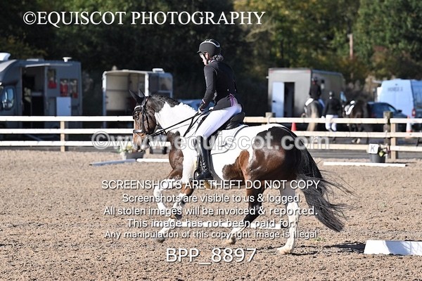 BPP_8897 - LONG ARENA NOVICE 6