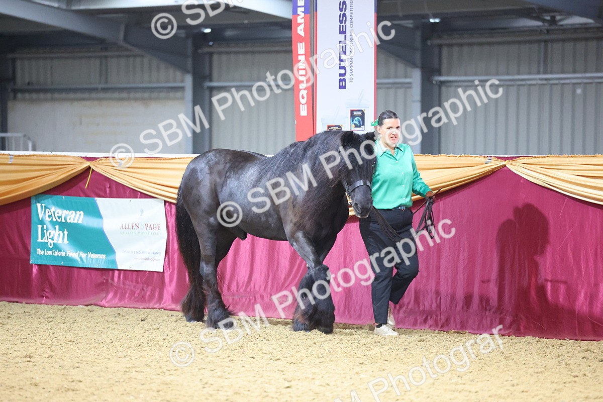 SBM_19571 - Class 901 - Supreme Final - IH Diamond