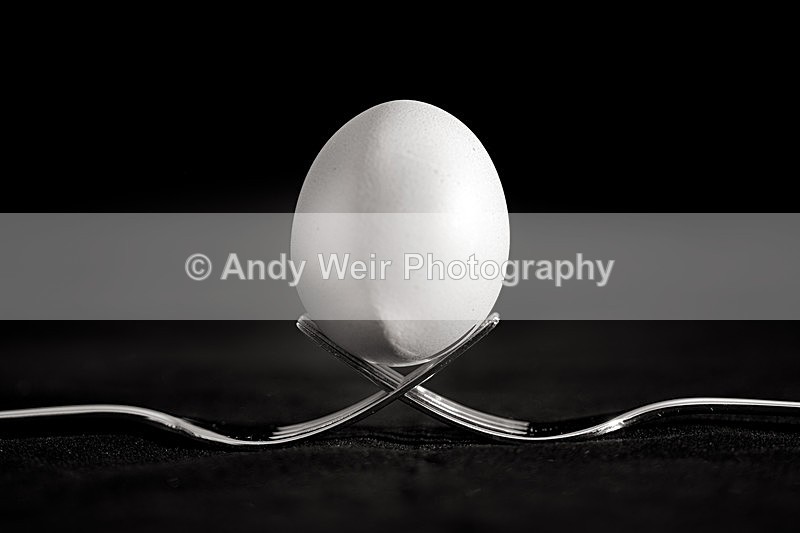 Eggsactly Balanced - Miscellaneous Photographs