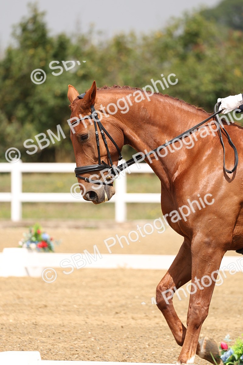 SBM_006315 - Class 6 - novice 6 - 11.50-12.46