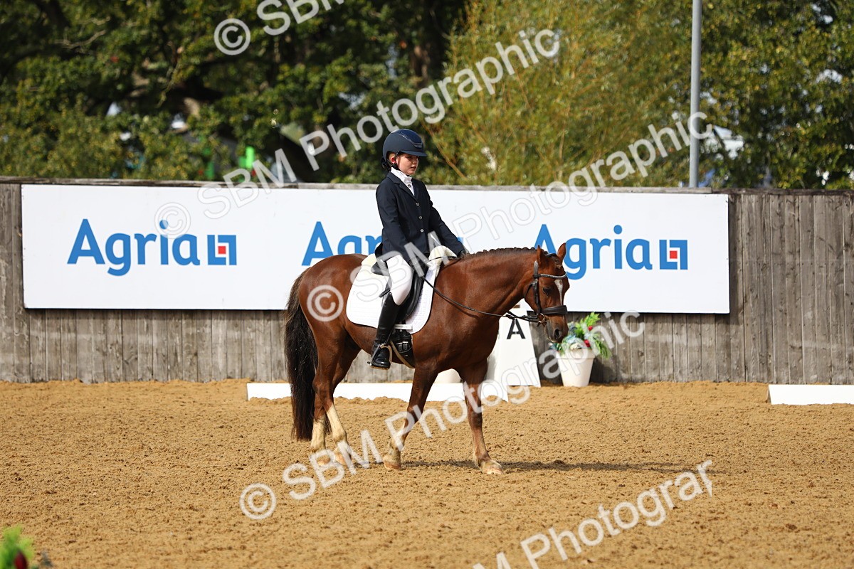 SBM_42672 - D21 - Junior Championship Intro 1