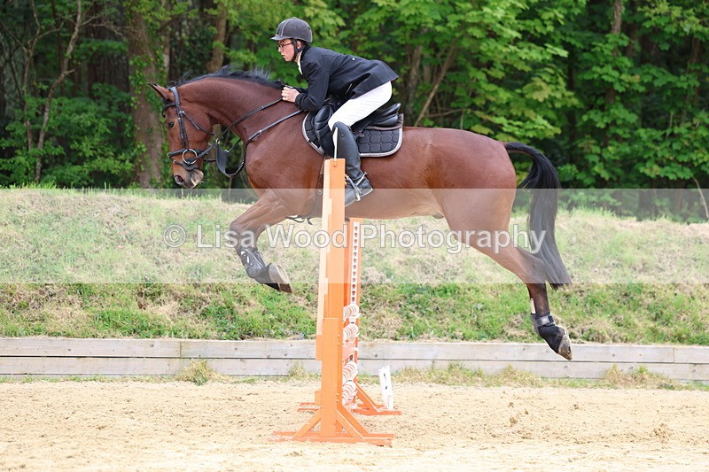 3E7A5985 - Class 4: Senior British Novice/90cm open