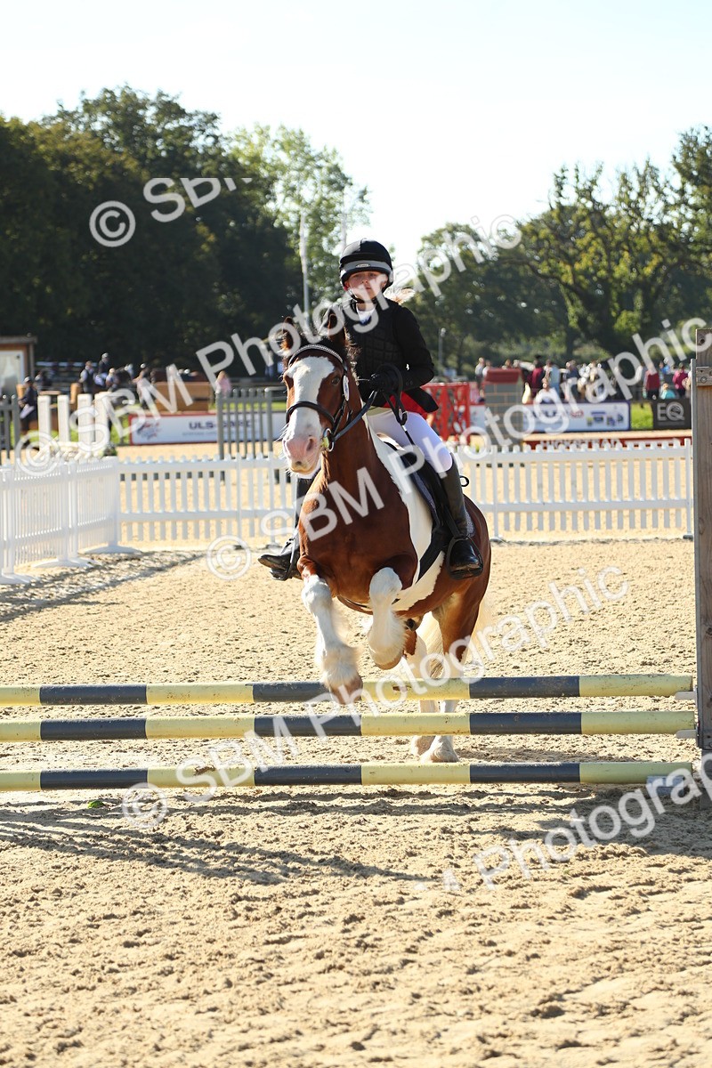 SBM_35951 - J5 - Junior Pony 50cm Championship