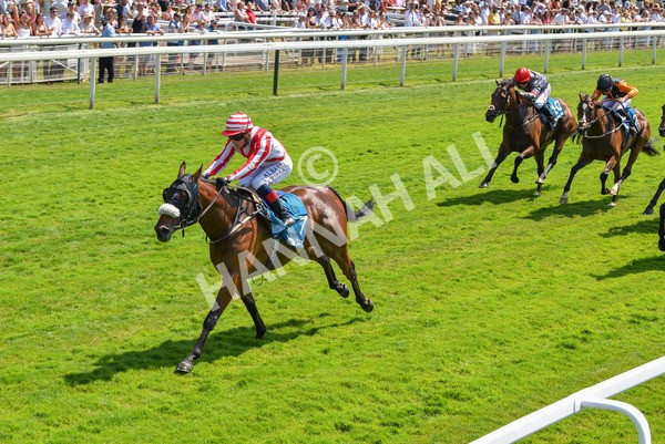 160623-Race 1-Menelaus-6152 - Race 1 1.50pm Andy Thornton Hospitality Furniture Apprentice Handicap