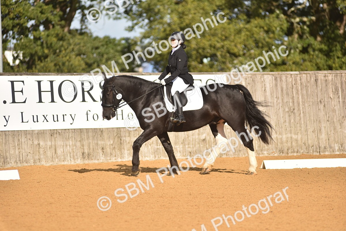 SBM_15787 - D4 - Small Tour Championship Intro 4