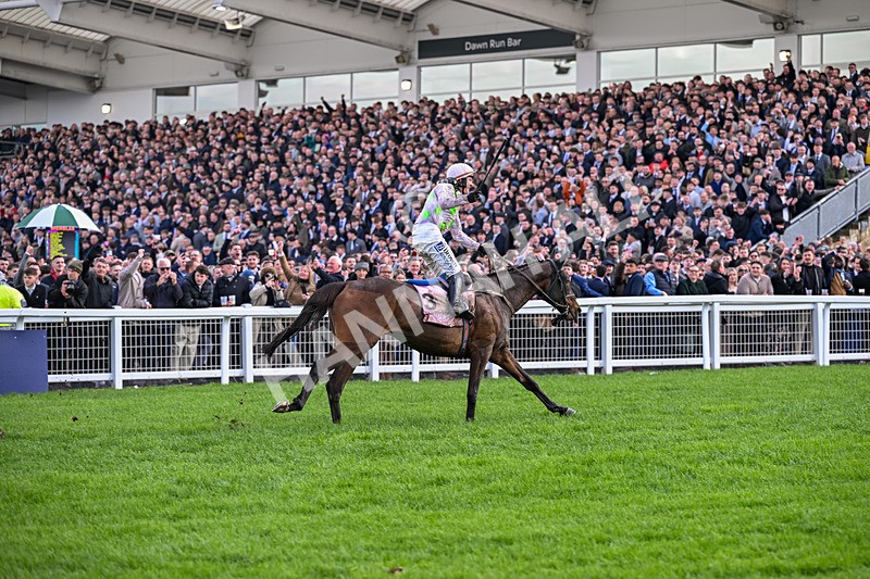 130326-Race 5-Gaelic Warrior-2662 - 13th March