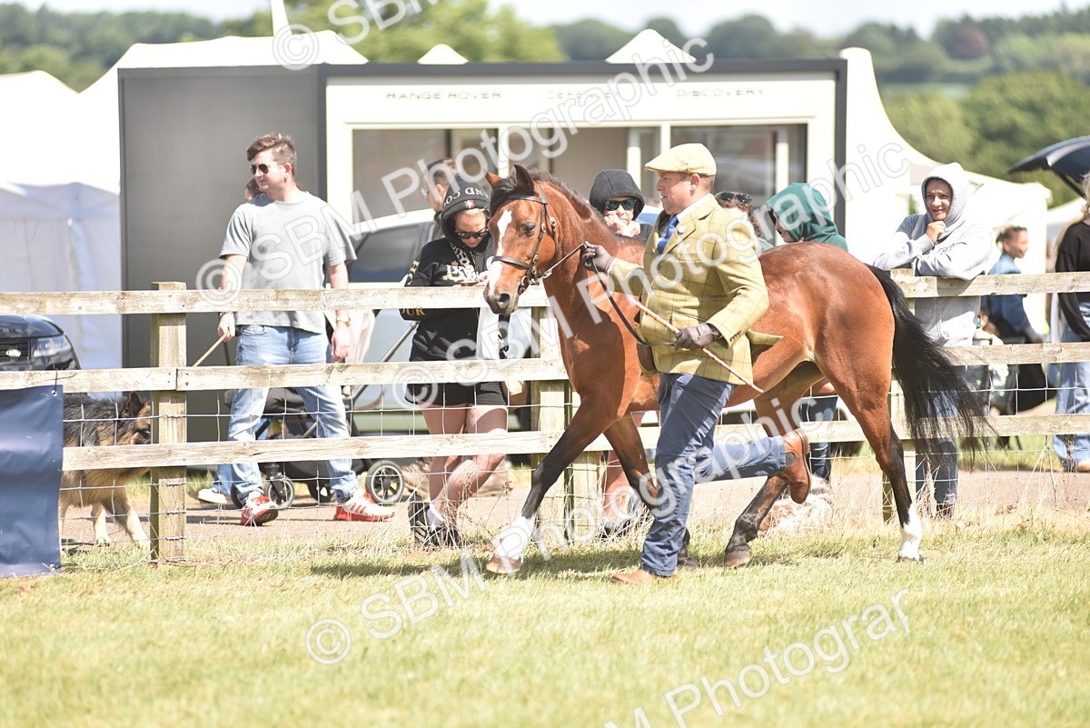 SBM_16094 - Class 117-122 - SSADL RIHS Qualifier