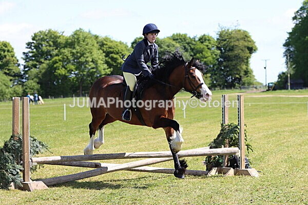 IMG_3475 - Working Hunter
