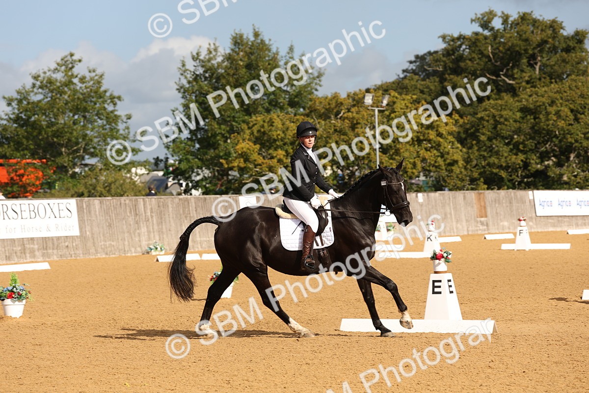 SBM_16191