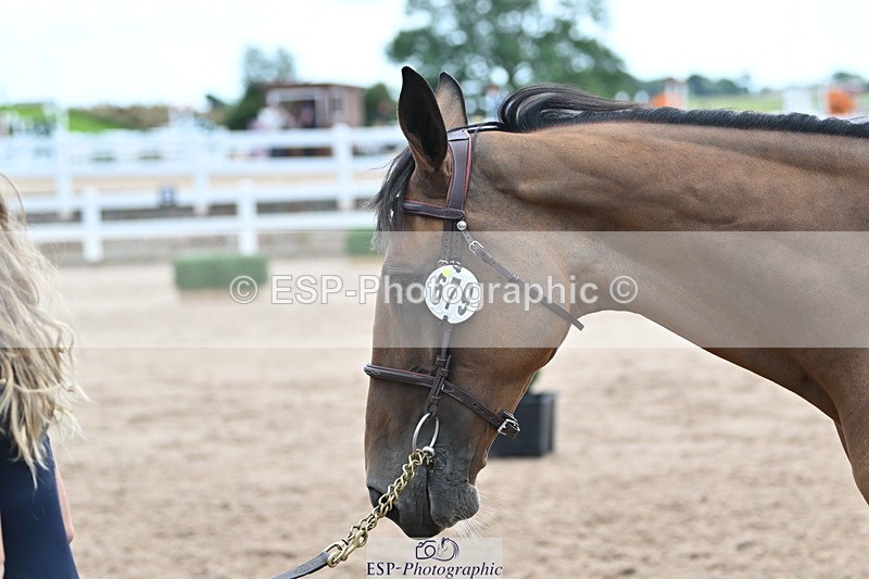 240717A-143118-02103 - Trot Up 2pm to 3pm - This folder is not in time order