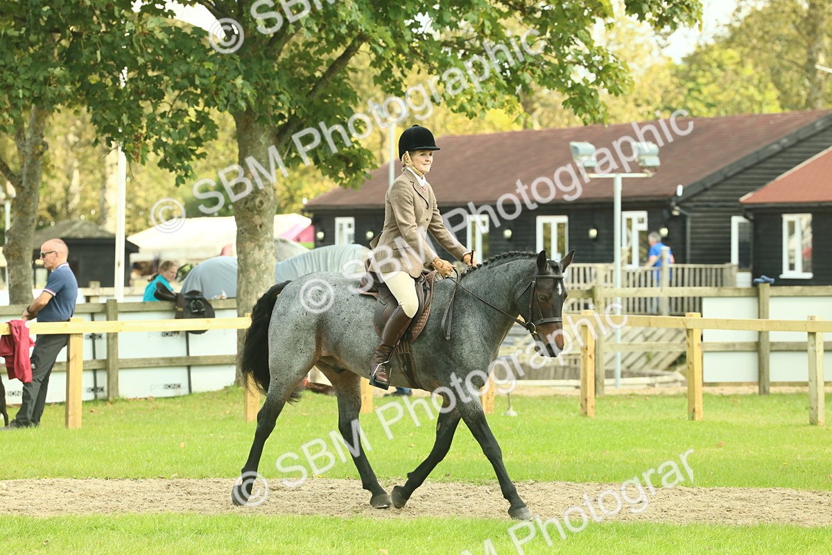 SBM_62609 - S63 - Other Coloured Horse Ridden