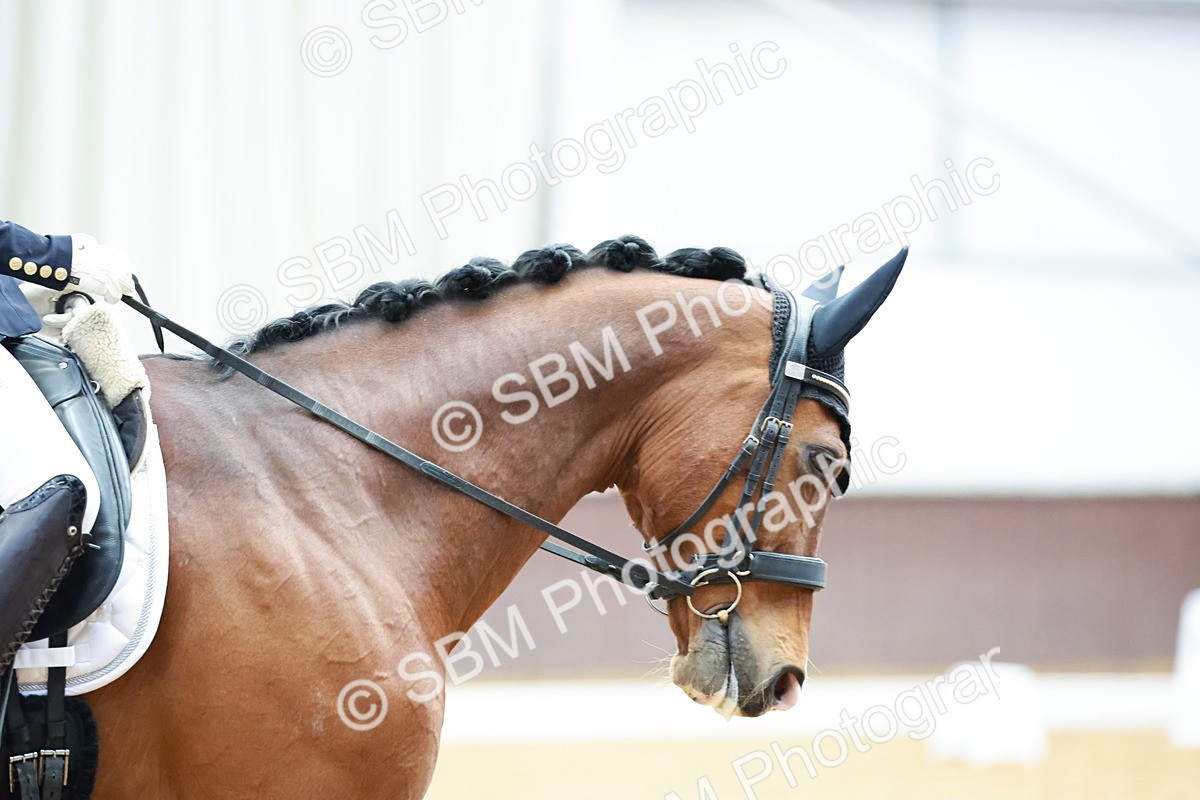 0B8A4943 - Class 11 - M5