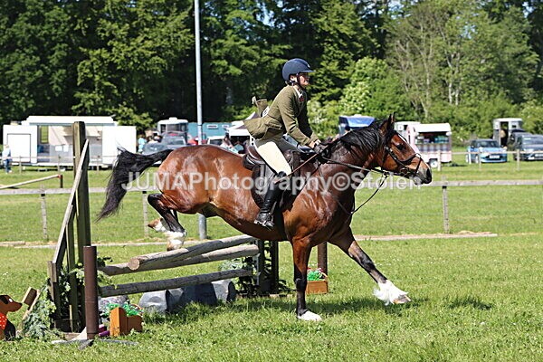 IMG_4227 - Working Hunter