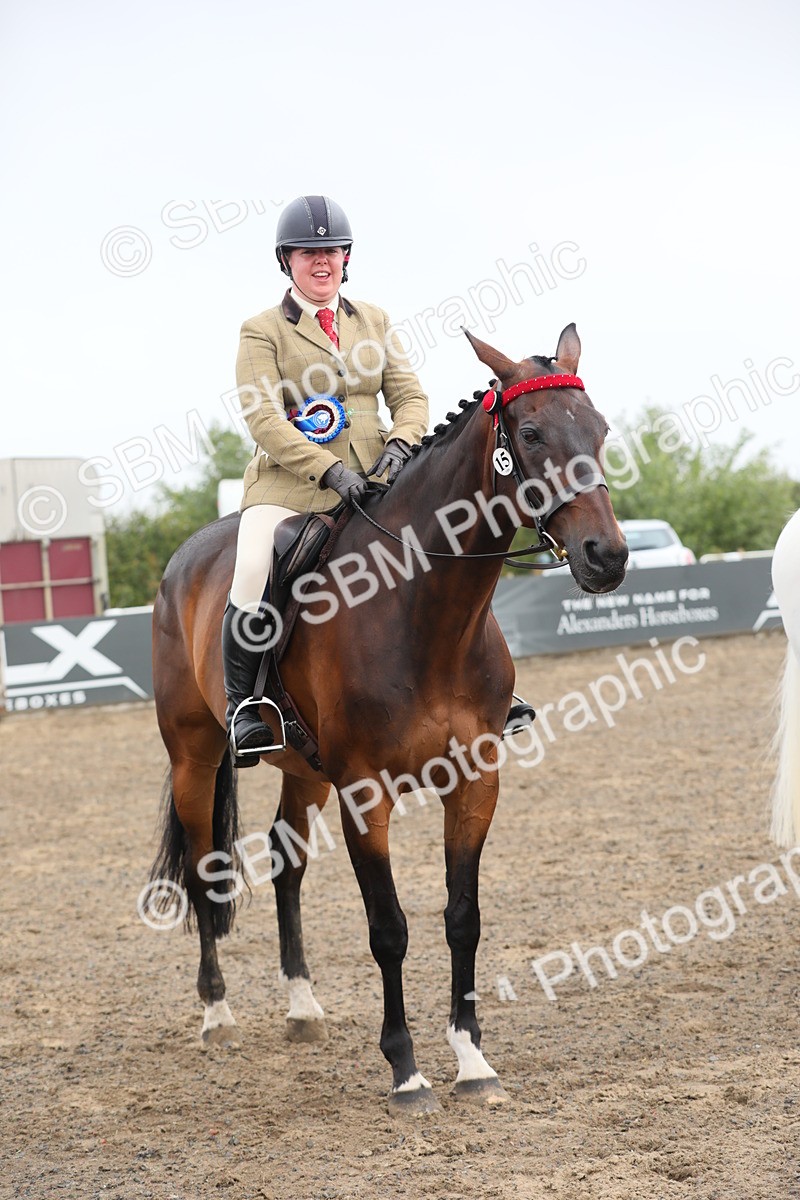SBM_21399 - Class 805 - Ridden Veteran Horse