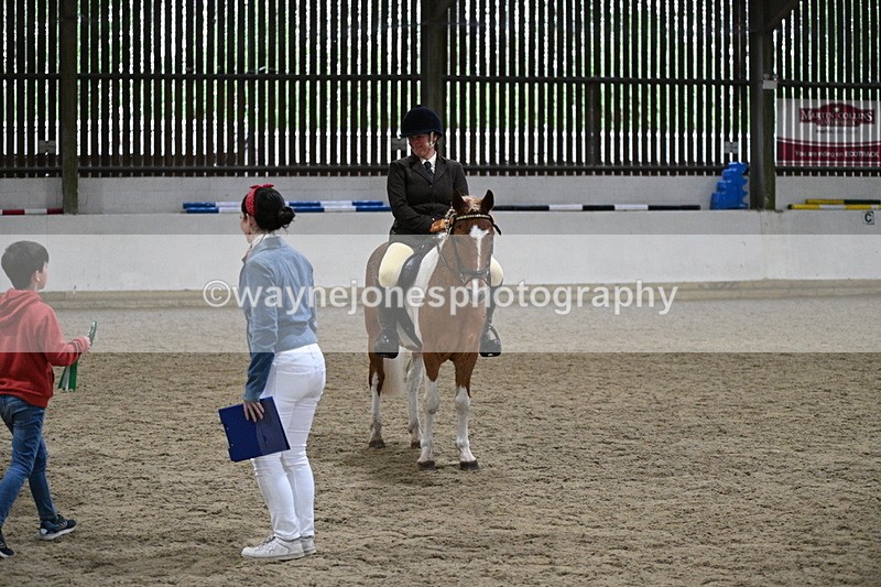 WJ7_3711 - Class 16 Ridden Coloured/ Odd Coloured