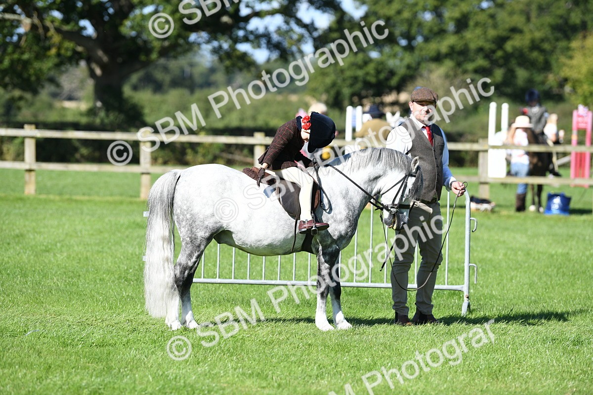 SBM_39517 - S18 - Novice & Newcomers Lead Rein Pony