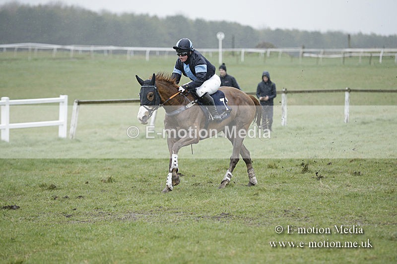 PtP 150320 0184 - New Forest Point-to-Point Larkhill 15/03/20