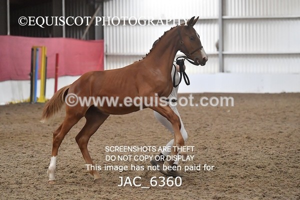 JAC_6360 - 19 Luca