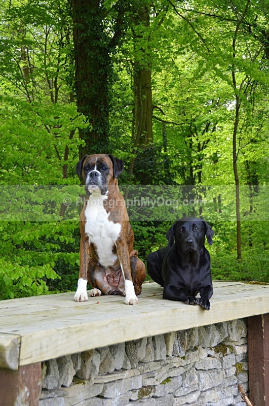  - Group Shots