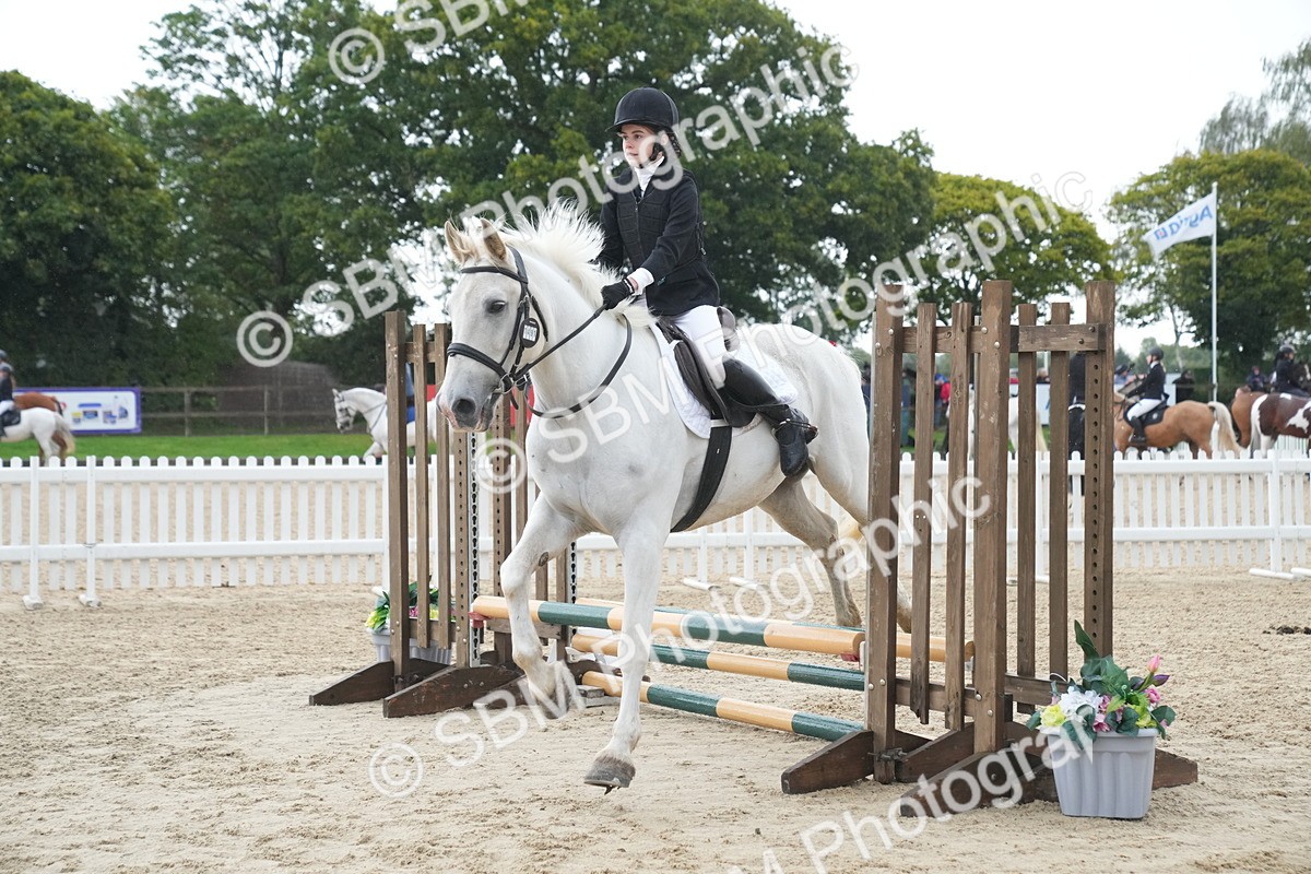 SBM_01514 - J54 - Clear Round 50cm
