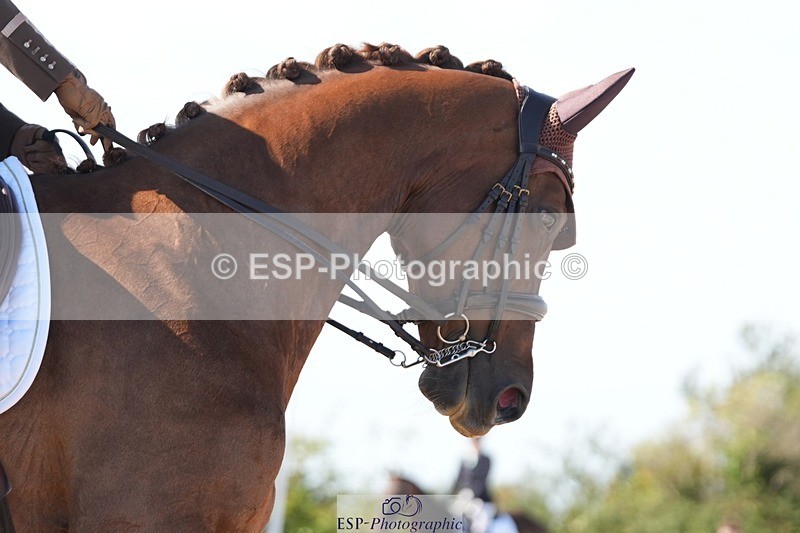 250906-153912-04835 - 109-Ruth.OfieldBurlesque.M