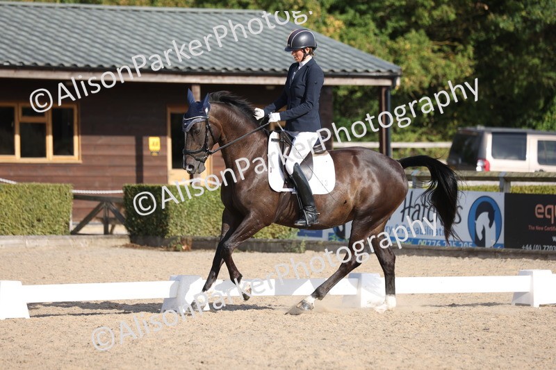 20250820-1731 - Class 22 - Advanced Medium 6