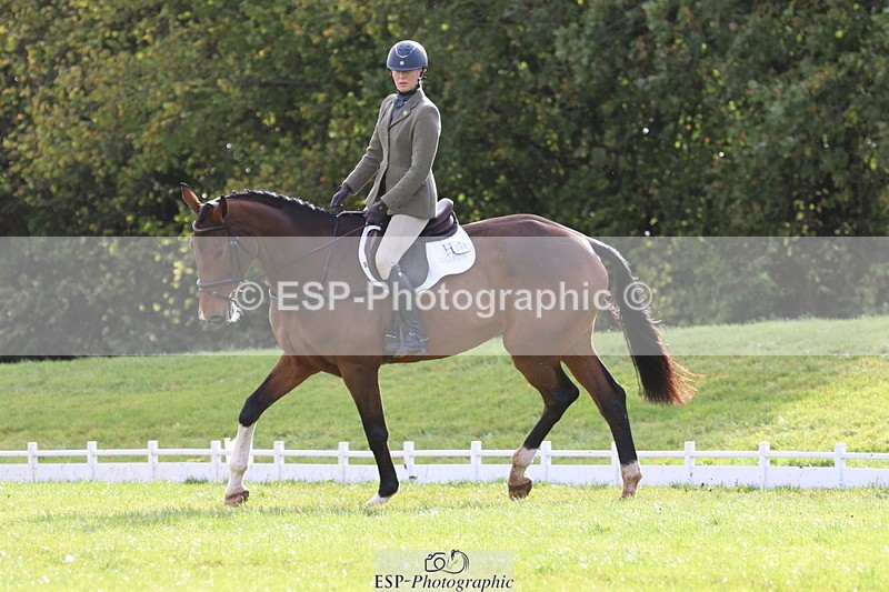 261023A-120104-12580 - D-368-Steffi.Dampney