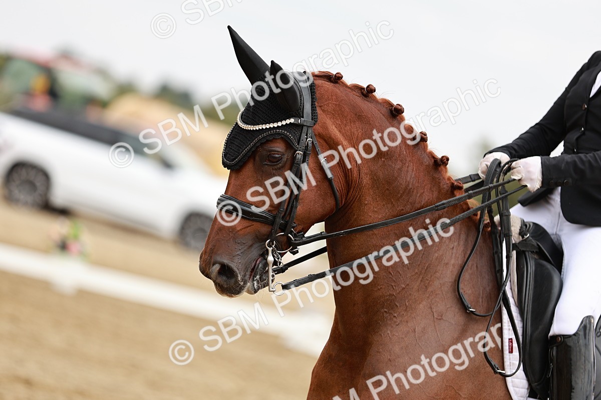SBM_003579 - Class 7 - Advanced Medium 6 Gold - 13.16-14.36