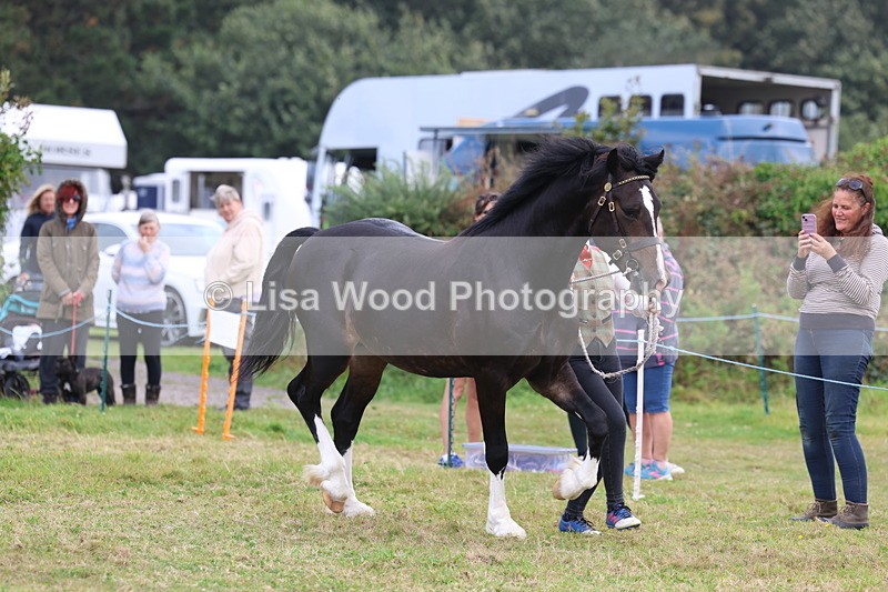 3E7A4140 - Class 15: Two Year Olds