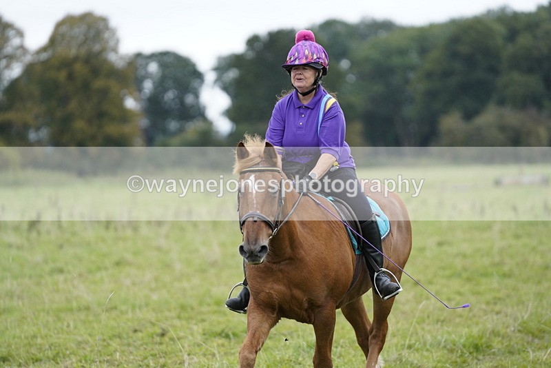 _DSC8641 - Time at Photographer 12:37 to 13:12