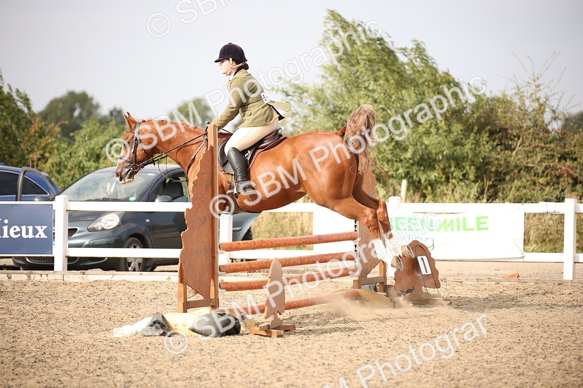 SBM_17304 - Class 410a - Wor5king Veteran 90cm (15-19)