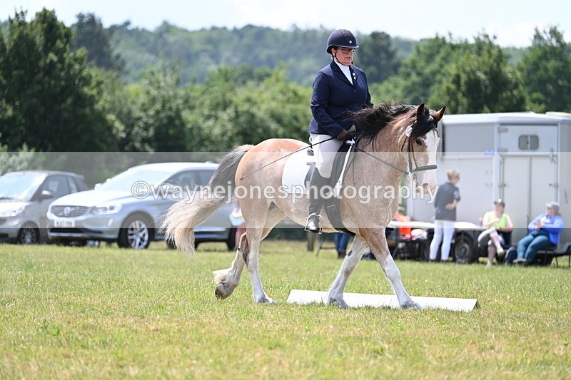 WJ7_8200 - Time 13:35 to 13:40