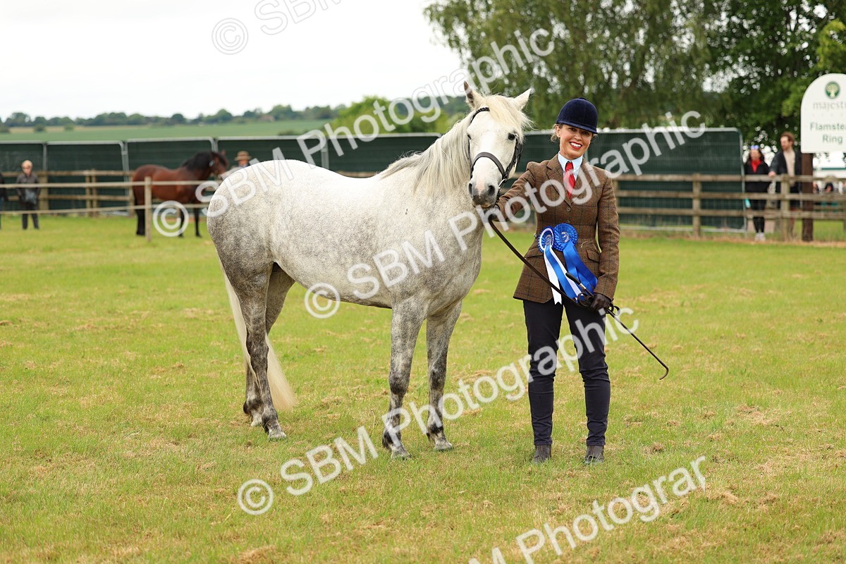 SBM_04294 - Class 64-67 - Shetland Pony In Hand