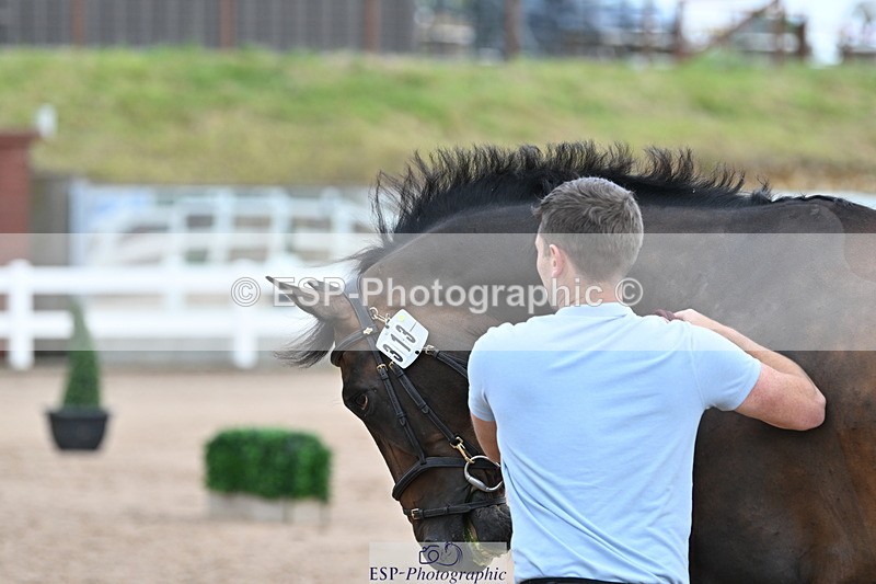 240717A-143259-02128 - Trot Up 2pm to 3pm - This folder is not in time order